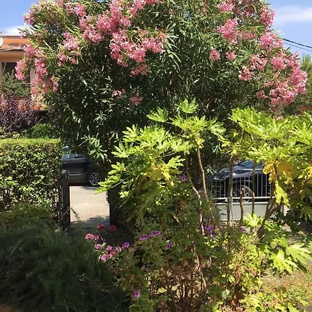Casa A Due Passi Dal Mare